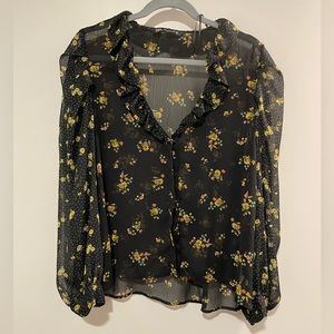 Zara Long Sleeve Sheer Blouse